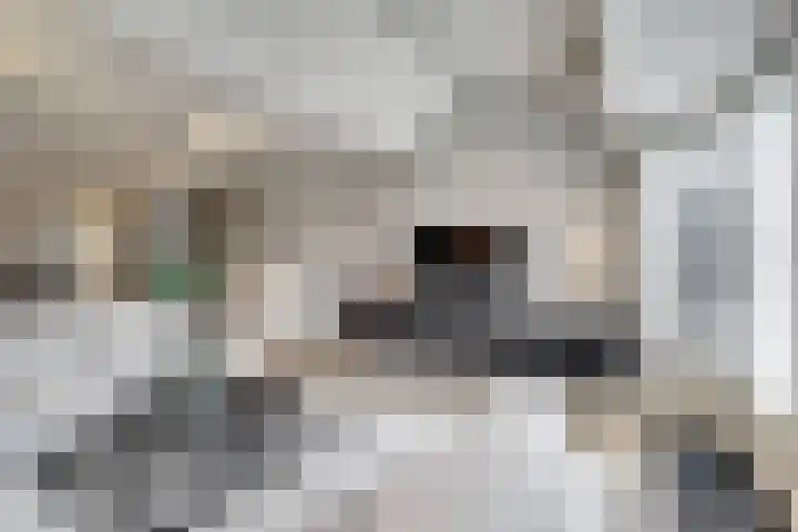 Wilsondreef 7 Ede thumbnail 11