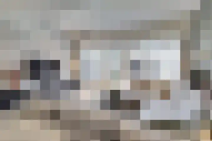 Wilsondreef 7 Ede thumbnail 12