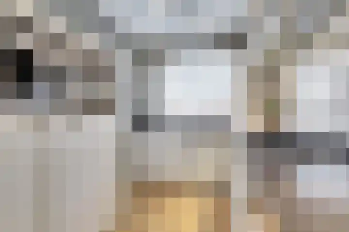 Wilsondreef 7 Ede thumbnail 18