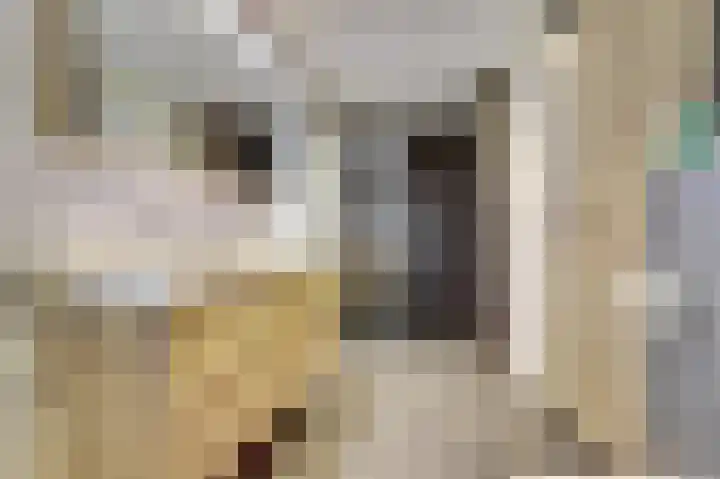 Wilsondreef 7 Ede thumbnail 29