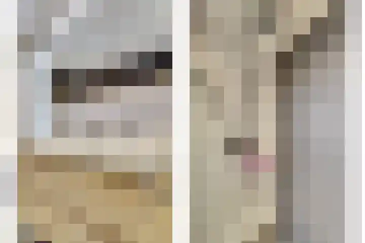 Wilsondreef 7 Ede thumbnail 30