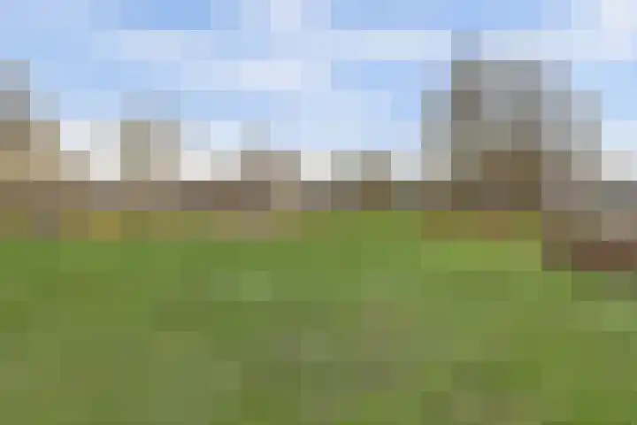 Wilsondreef 7 Ede thumbnail 36