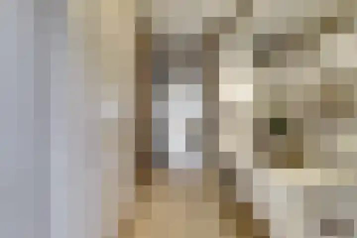 Wilsondreef 7 Ede thumbnail 6