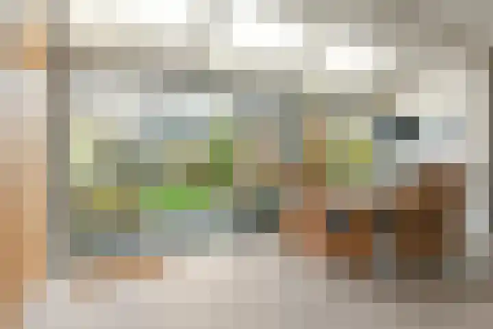 Wilsonstraat 185 Hoofddorp thumbnail 15