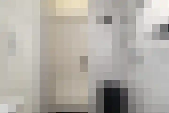 Wilsonstraat 19 Goes thumbnail 16
