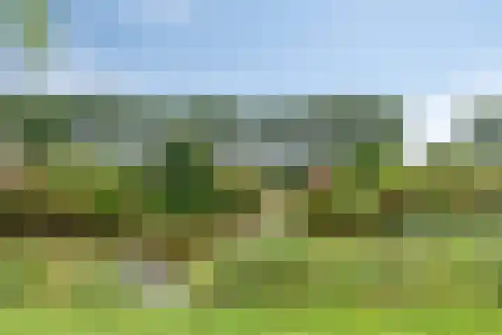 Wilsonstraat 19 Goes thumbnail 32