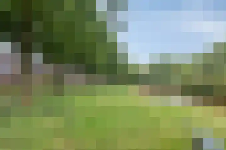 Wilsonstraat 19 Goes thumbnail 33