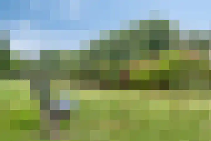 Wilsonstraat 19 Goes thumbnail 34