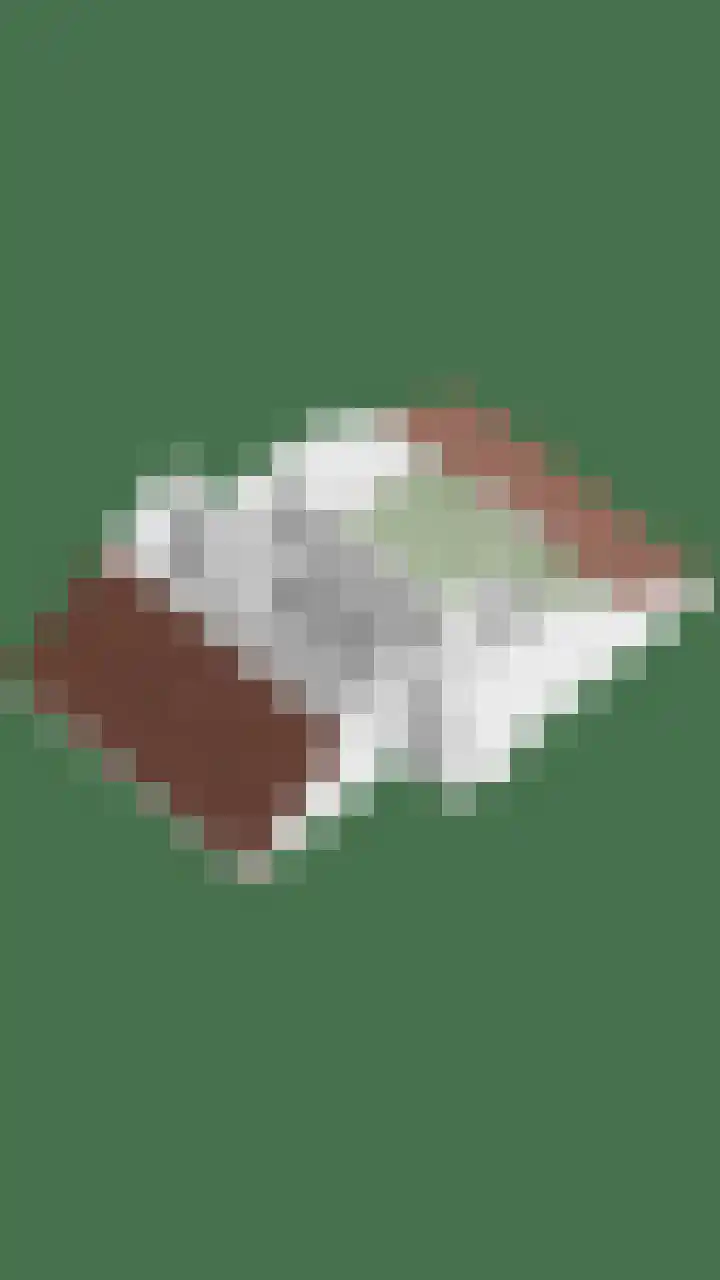 Wilsonstraat 19 Goes thumbnail 42