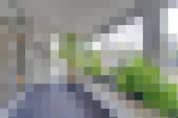 Wimbledonpark 101 Amstelveen thumbnail 4
