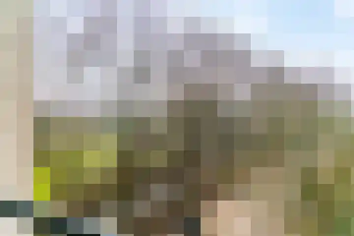 Wimbledonpark 187 Amstelveen thumbnail 31