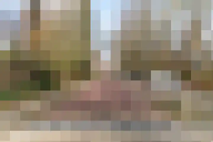 Wimbledonpark 187 Amstelveen thumbnail 37