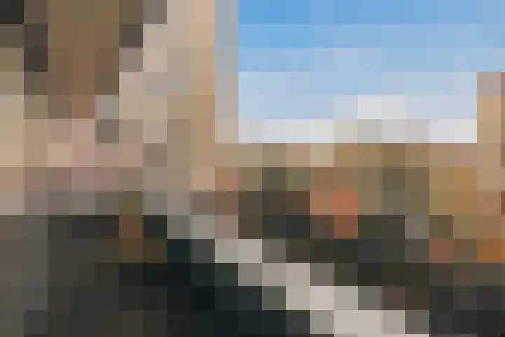 Wimbledonpark 255 Amstelveen thumbnail 34