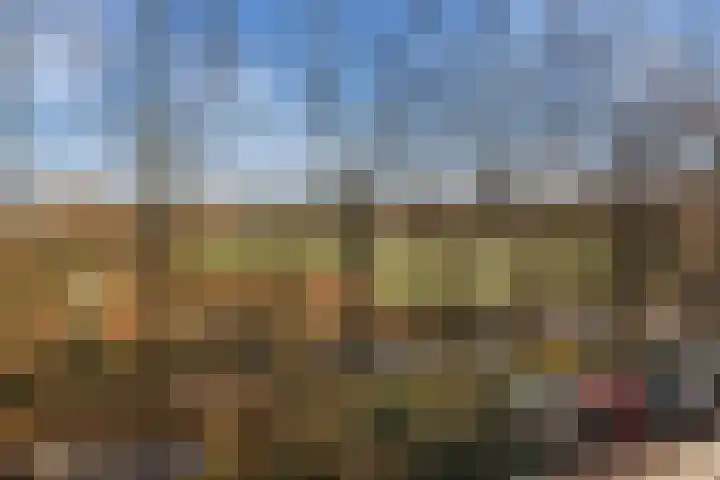 Wimbledonpark 255 Amstelveen thumbnail 57