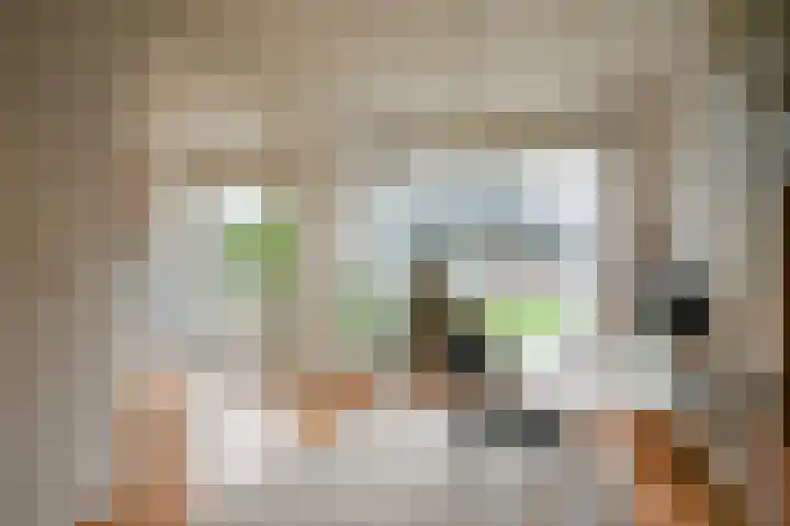 Wimpel 7 Huizen thumbnail 11