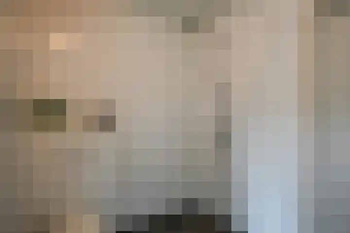 Wimpel 7 Huizen thumbnail 13
