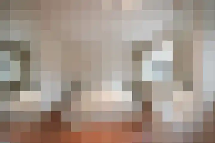 Wimpel 7 Huizen thumbnail 15