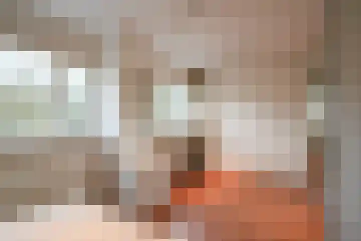 Wimpel 7 Huizen thumbnail 16