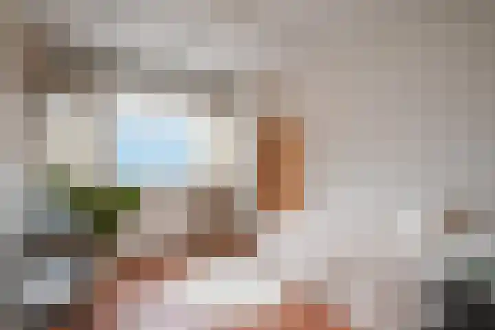 Wimpel 7 Huizen thumbnail 18