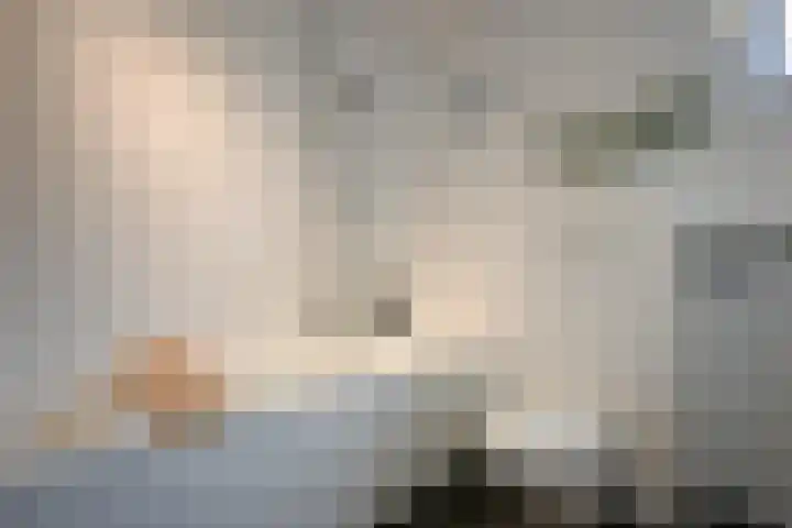 Wimpel 7 Huizen thumbnail 20