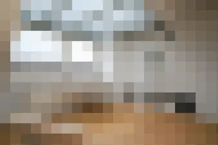 Wimpel 7 Huizen thumbnail 25