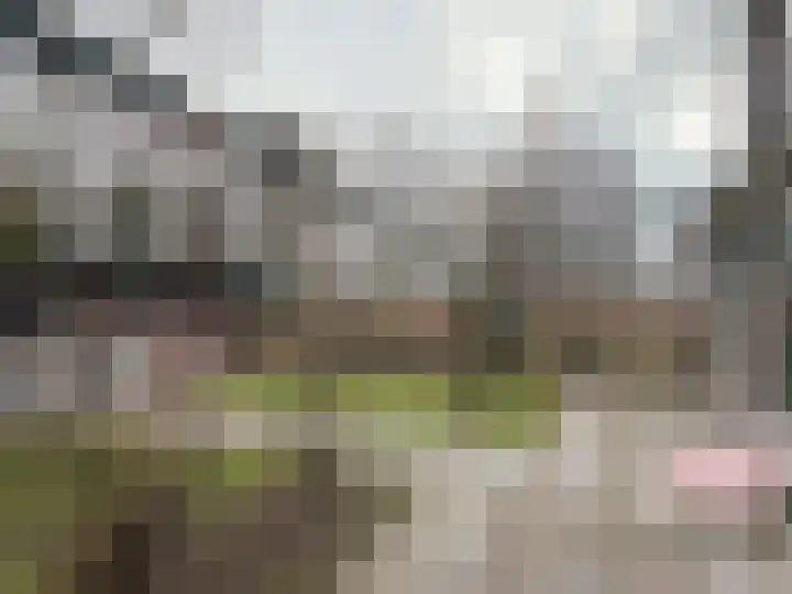 Wimpel 7 Huizen thumbnail 30