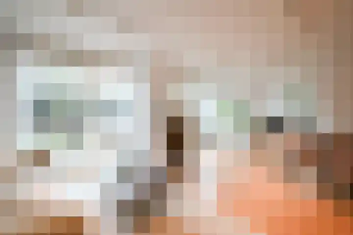 Wimpel 7 Huizen thumbnail 5