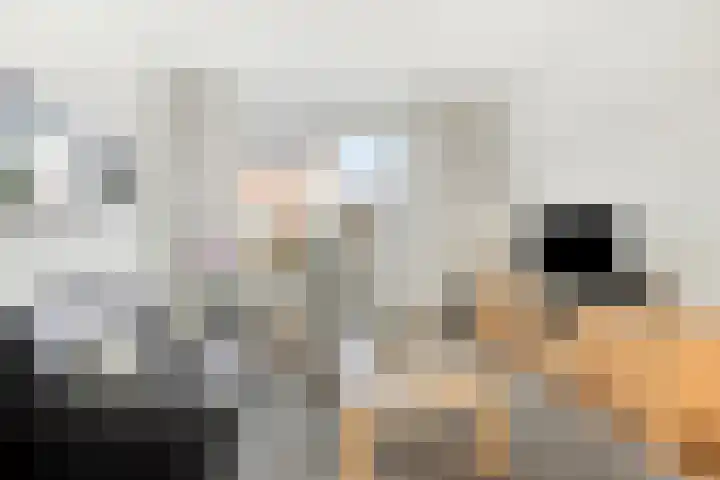 Winandusstraat 26 Elsloo thumbnail 16
