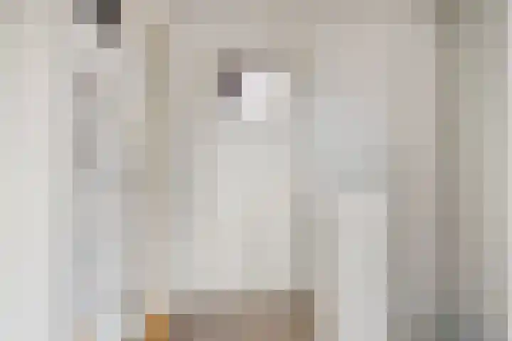 Winandusstraat 26 Elsloo thumbnail 25