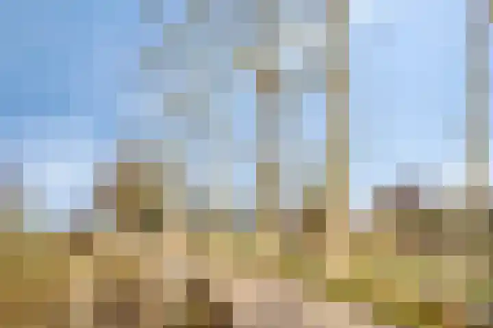 Winandusstraat 26 Elsloo thumbnail 31