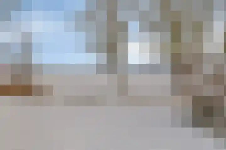 Windberg 25 Heeswijk-Dinther thumbnail 32