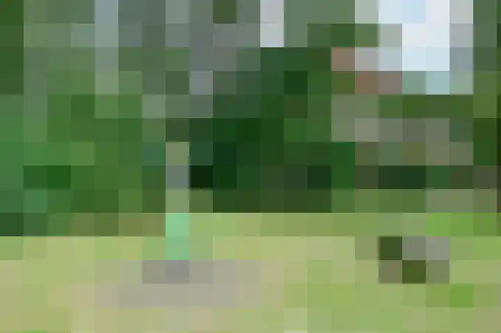 Winde 102 Zeewolde thumbnail 28