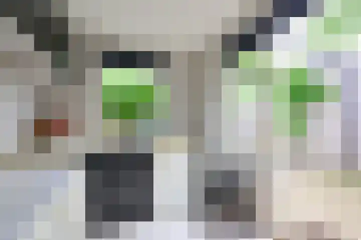 Winde 102 Zeewolde thumbnail 5