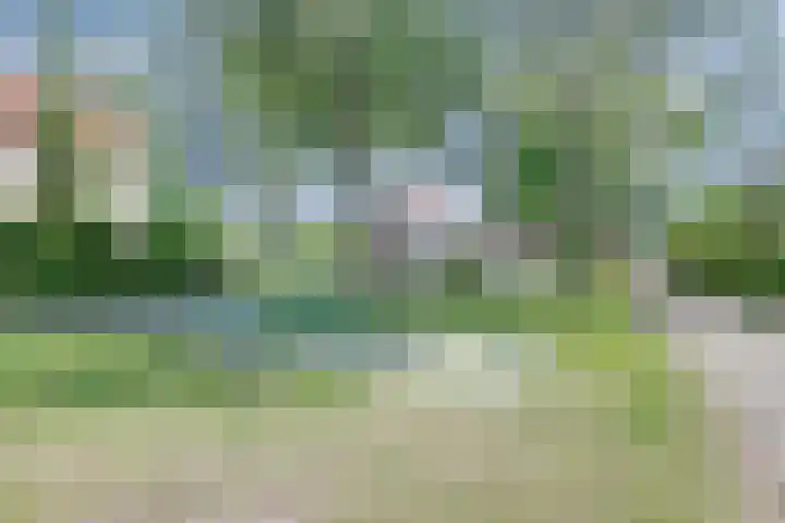 Winde 36 Zeewolde thumbnail 37