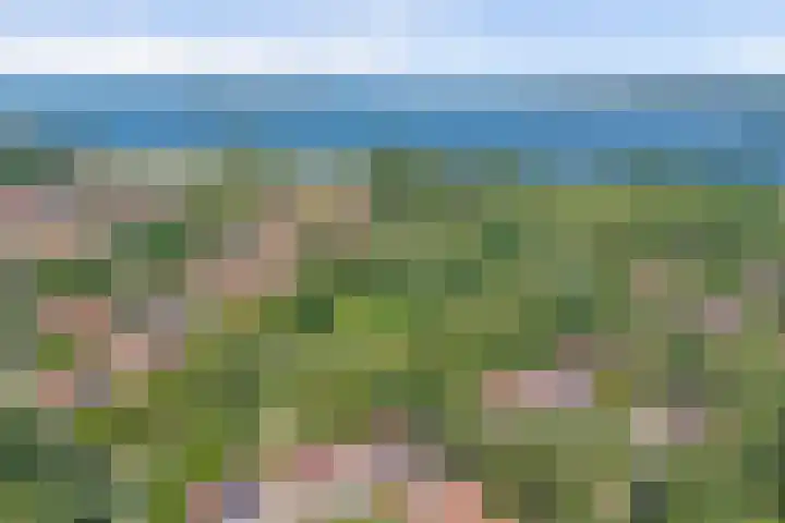 Winde 36 Zeewolde thumbnail 38