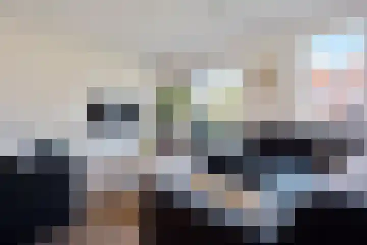 Winde 6 Assen thumbnail 12