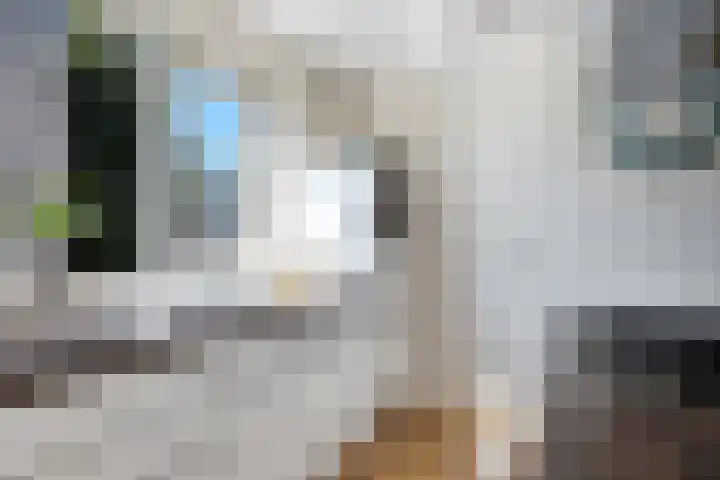 Winde 6 Assen thumbnail 22