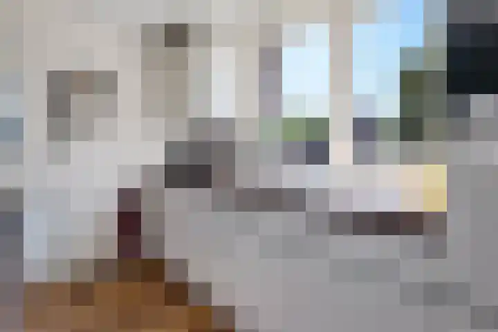 Winde 6 Assen thumbnail 23