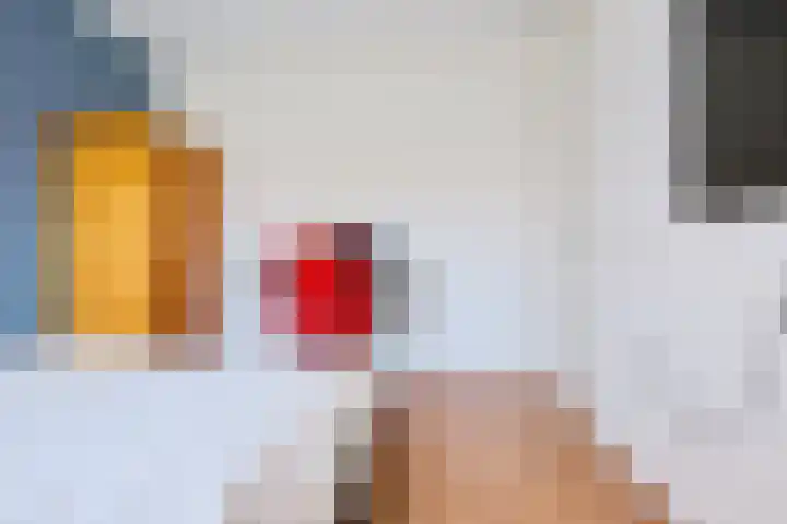 Winde 6 Assen thumbnail 31