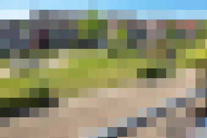 Winde 6 Assen thumbnail 35