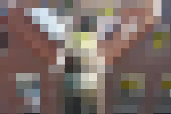 Winde 6 Assen thumbnail 37