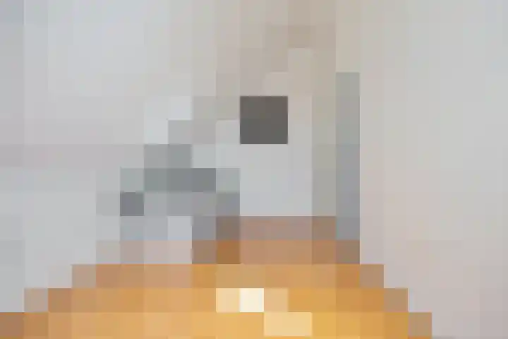 Winde 6 Assen thumbnail 38