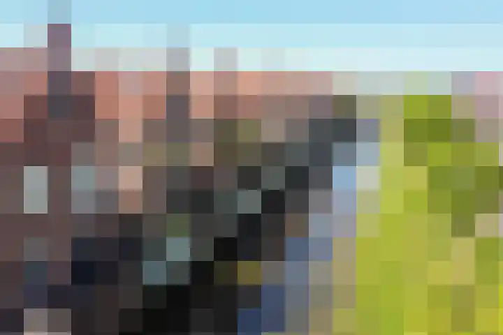 Winde 6 Assen thumbnail 4