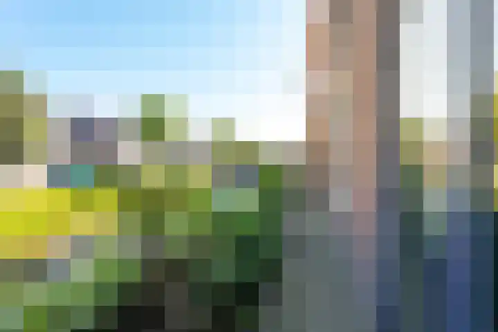 Winde 6 Assen thumbnail 43