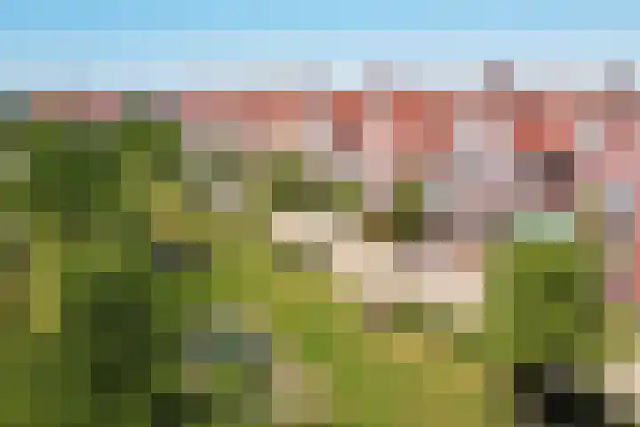 Winde 6 Assen thumbnail 45