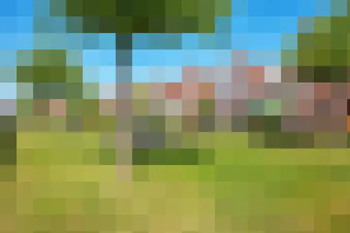 Winde 6 Assen thumbnail 5