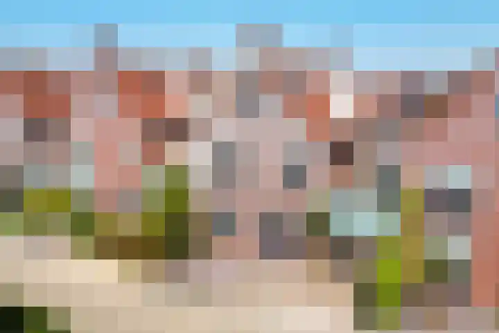 Winde 6 Assen thumbnail 6