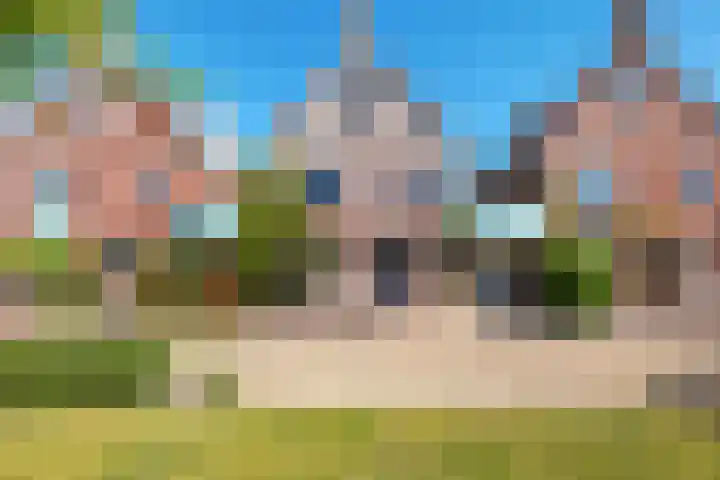 Winde 6 Assen thumbnail 7