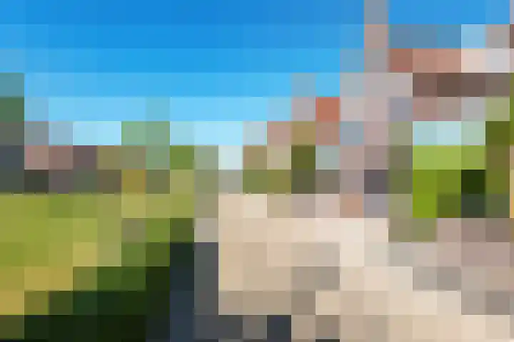 Winde 6 Assen thumbnail 8