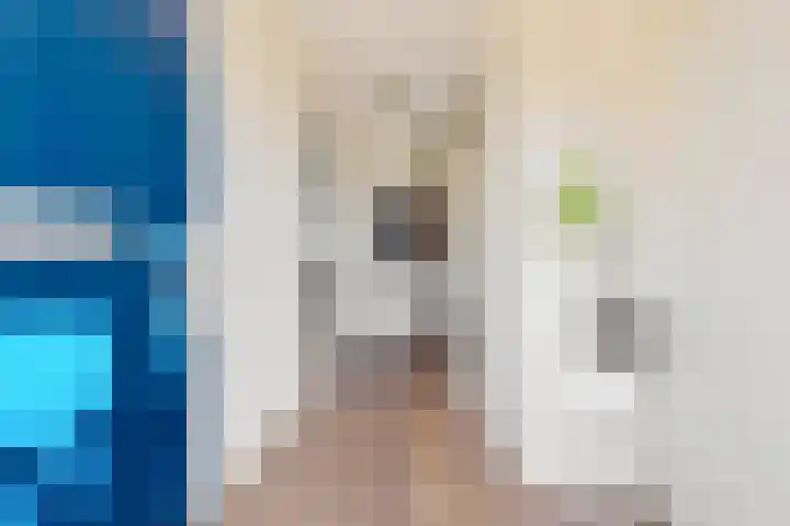 Winde 6 Assen thumbnail 9
